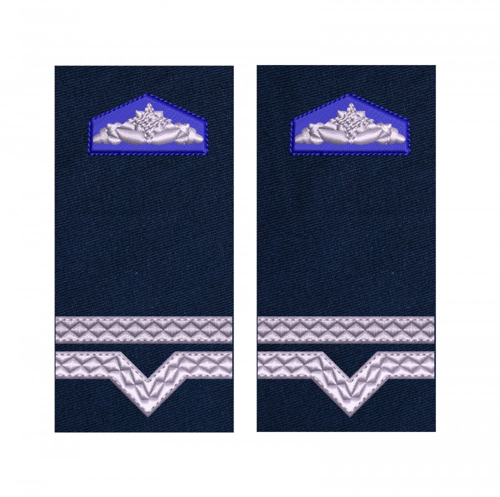 GRADE MAISTRU MILITAR CLASA 4 SRI